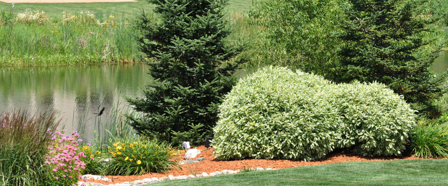 lawn care services morgantown wv